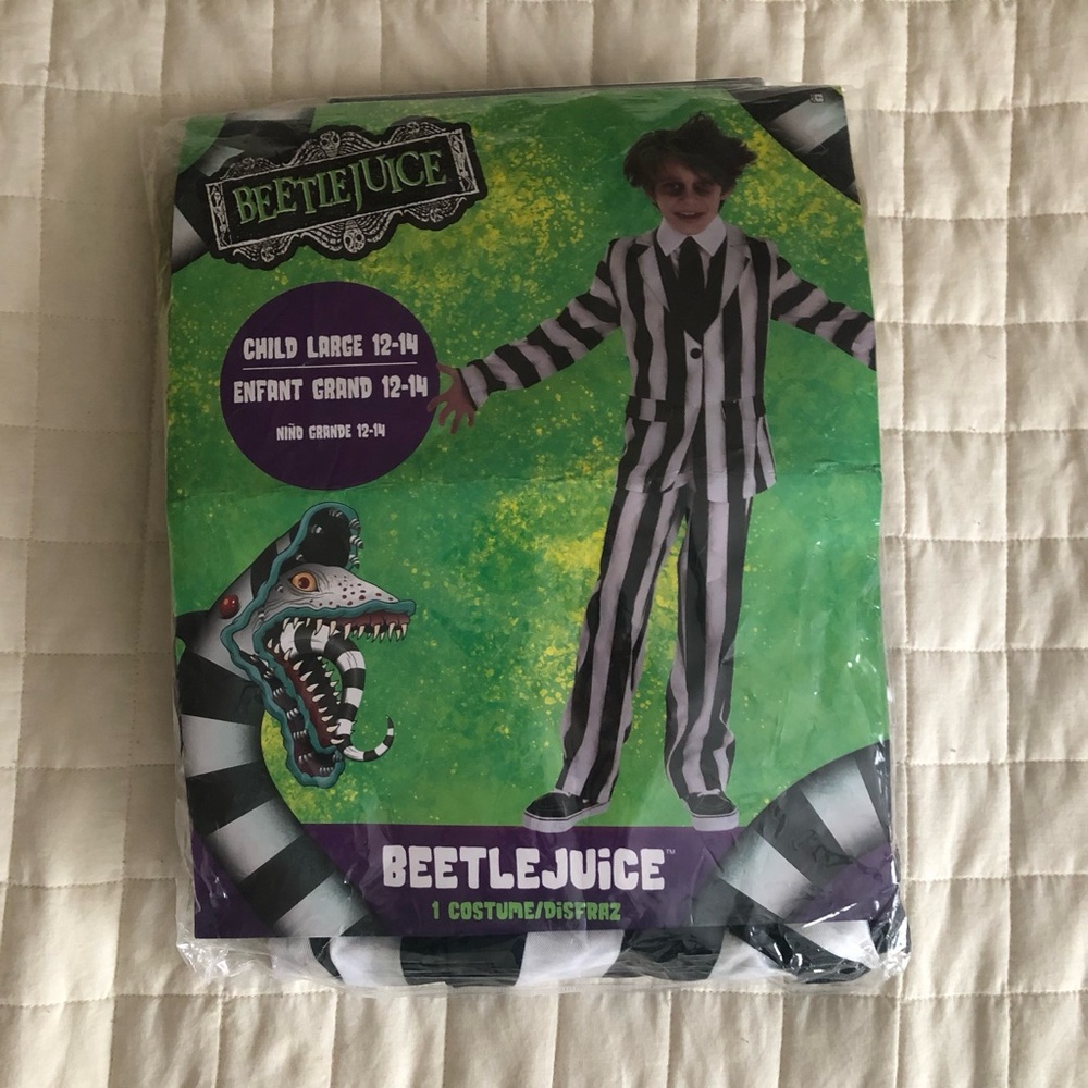 Kids Beetlejuice Costume - B&W Striped Pants, Top, and Wig. Size L - 12-14